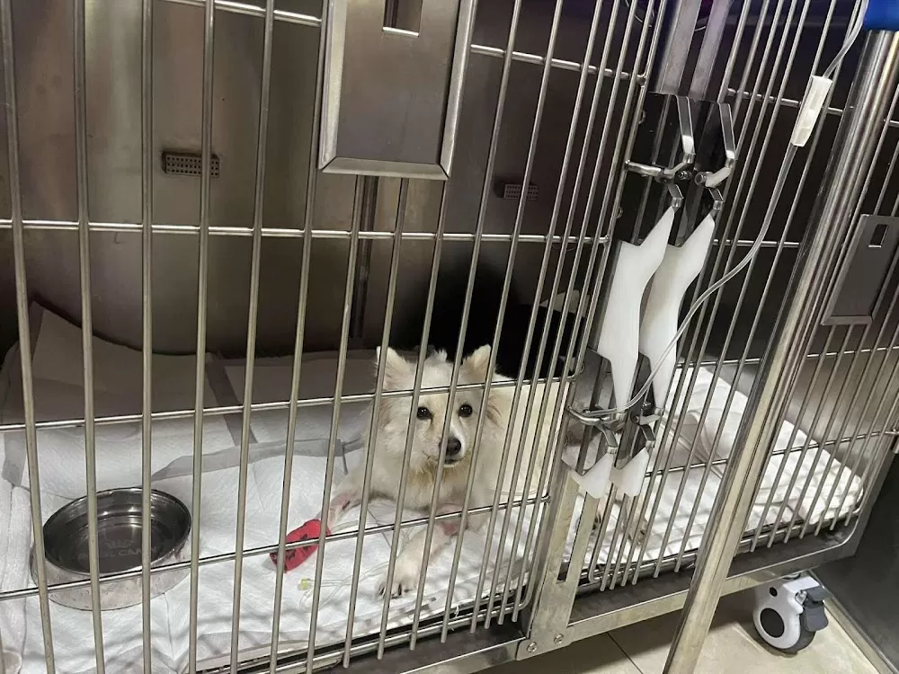 Four Paws Animal Wellness and Hospital Corp - Photo 3