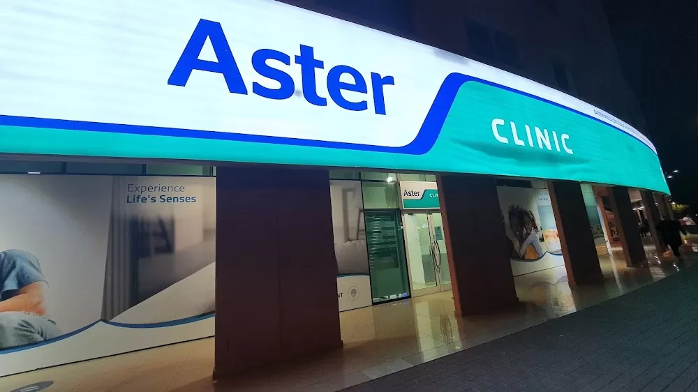 Aster - Photo 6