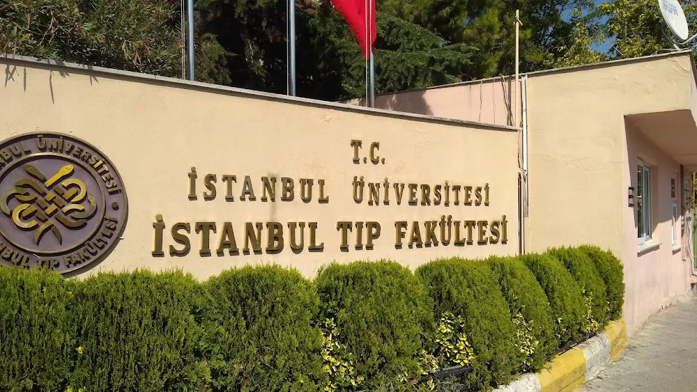 İstanbul Üniversitesi İstanbul Tıp Fakültesi - Photo 4