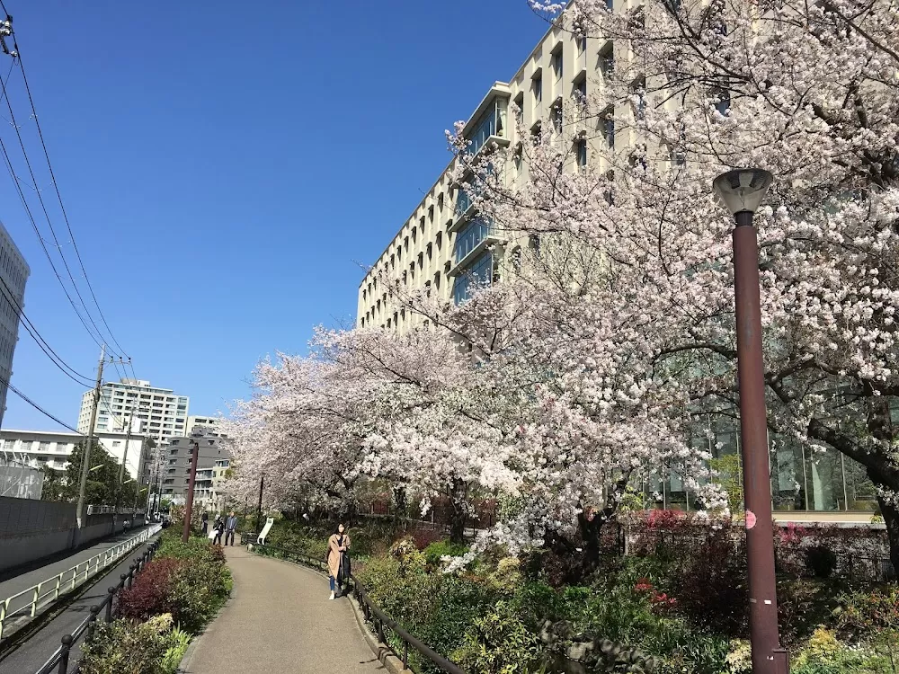 Toho University Ohashi Medical Center - Photo 2