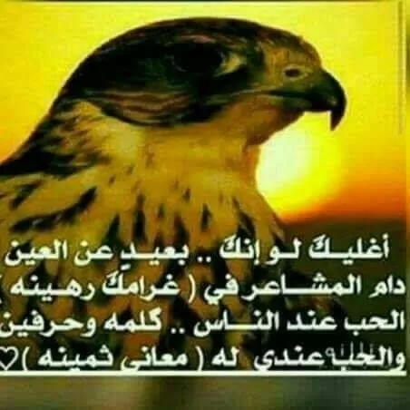 المركز الطبي الدولي لعلاج العمود الفقري - Photo 8