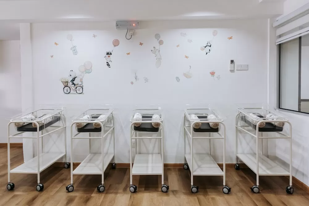 Paramount Postpartum Care (Melaka Confinement Centre) - Photo 4