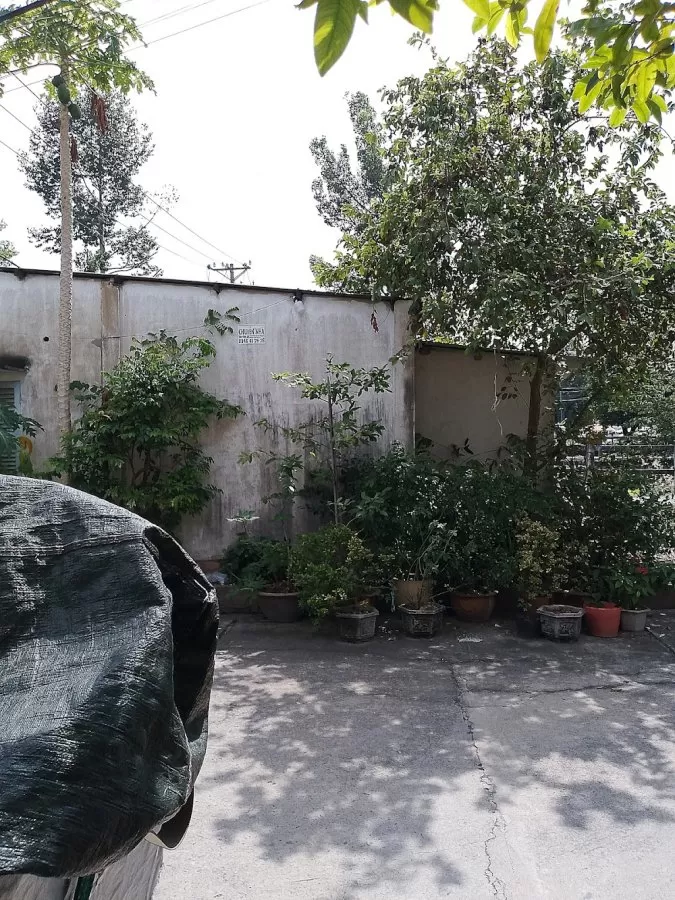 Viện Pháp y tâm thần Trung ương Biên Hòa - Photo 5
