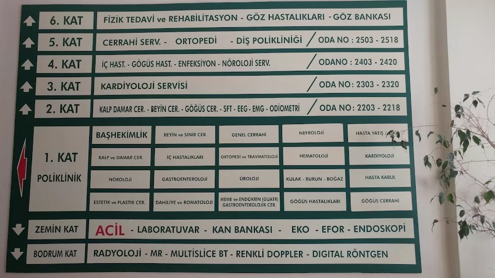 Maltepe University Institute of Gastroenterology - Photo 7