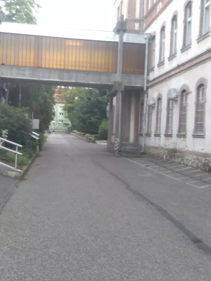 Pécsi Tudományegyetem Reumatológiai és Immunológiai Klinika - Photo 4