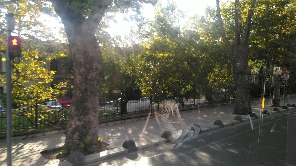 SBÜ Haydarpaşa Numune Eğitim ve Araştırma Hastanesi Sadık Eratik Göz Kliniği - Photo 7