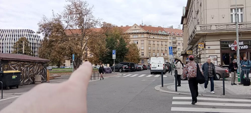 Ordinace Dejvice s.r.o. - Kardiologická, cévní a interní ambulance. Ultrazvuk břicha a měkkých tkání. - Photo 3