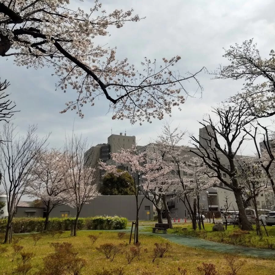 Tokyo Metropolitan Komagome Hospital - Photo 6
