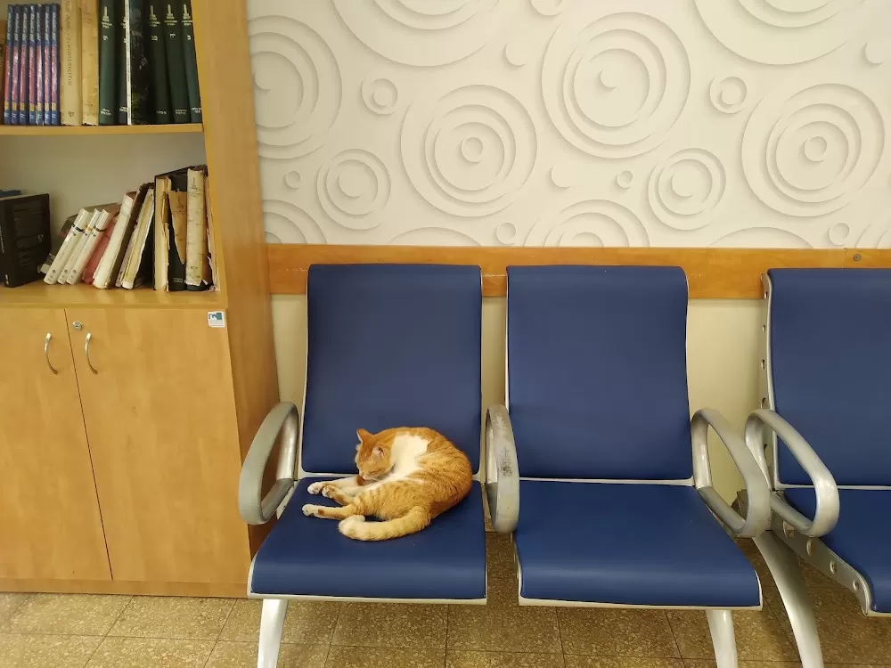 Mental Health Center in Be'er Ya'akov - Photo 4