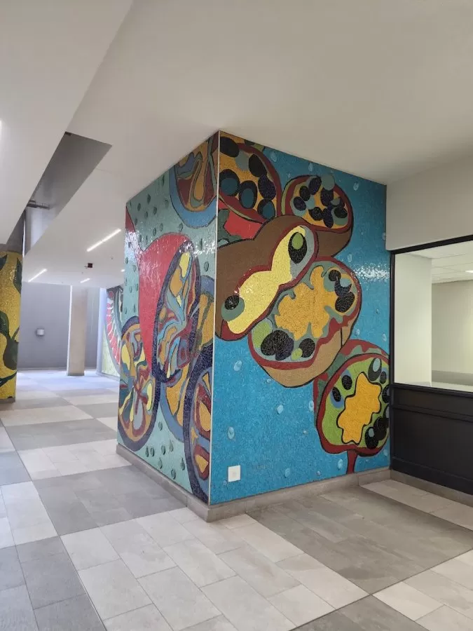 Dr Pixley Ka Isaka Seme Memorial Hospital - Photo 4