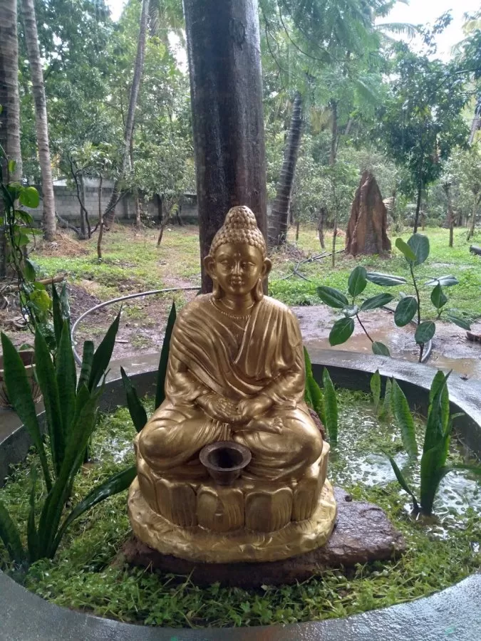 Kshema Mind Care - Photo 4