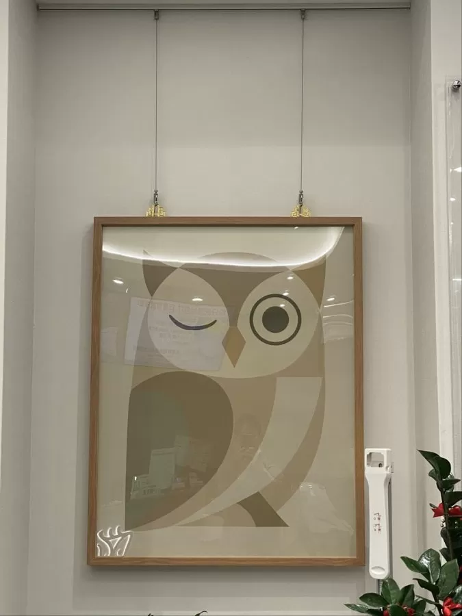 Hoot and Heal Clinic - Photo 8