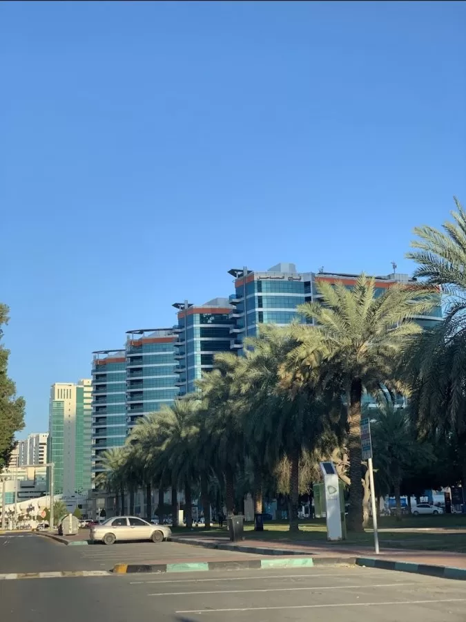 AlHosn - Medical Center in Abu Dhabi - Photo 6
