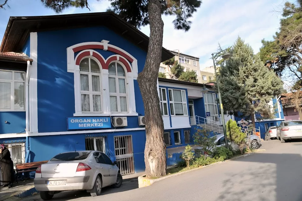 Yedikule Göğüs Hastalıkları ve Göğüs Cerrahisi Eğitim ve Araştırma Hastanesi - Photo 1