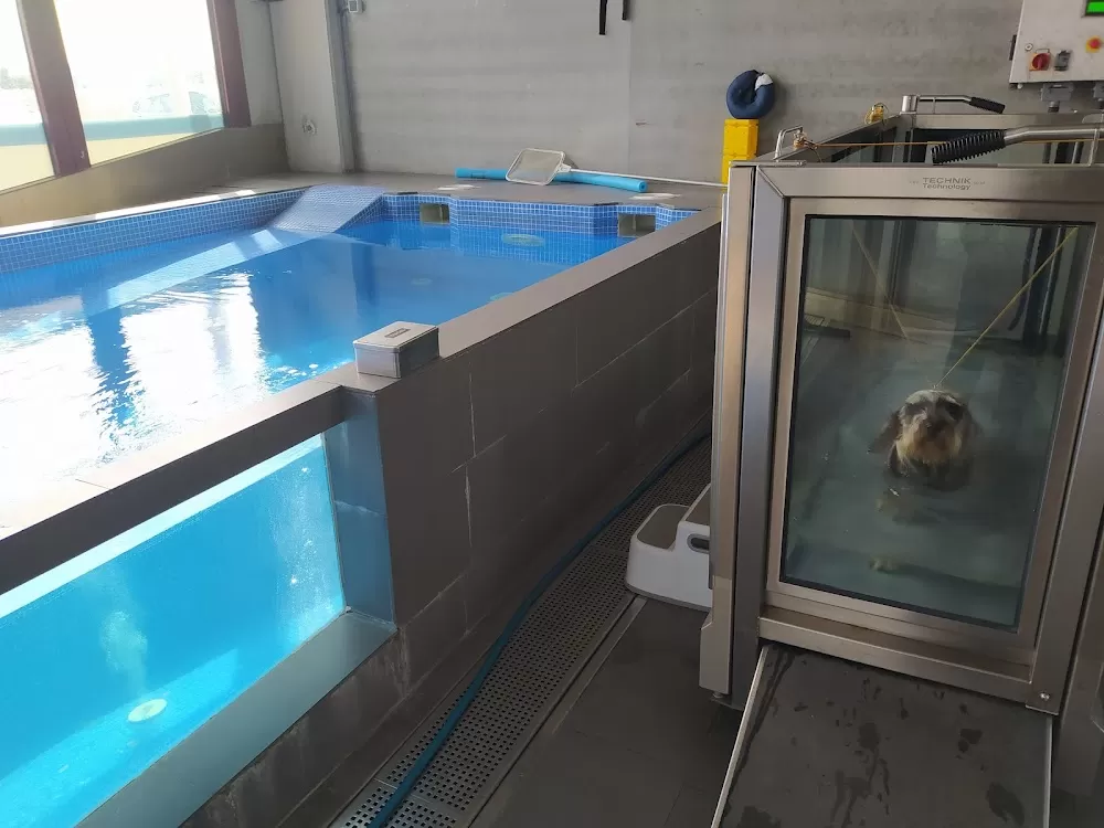 Veterinary Hospital VETSIA - Photo 6
