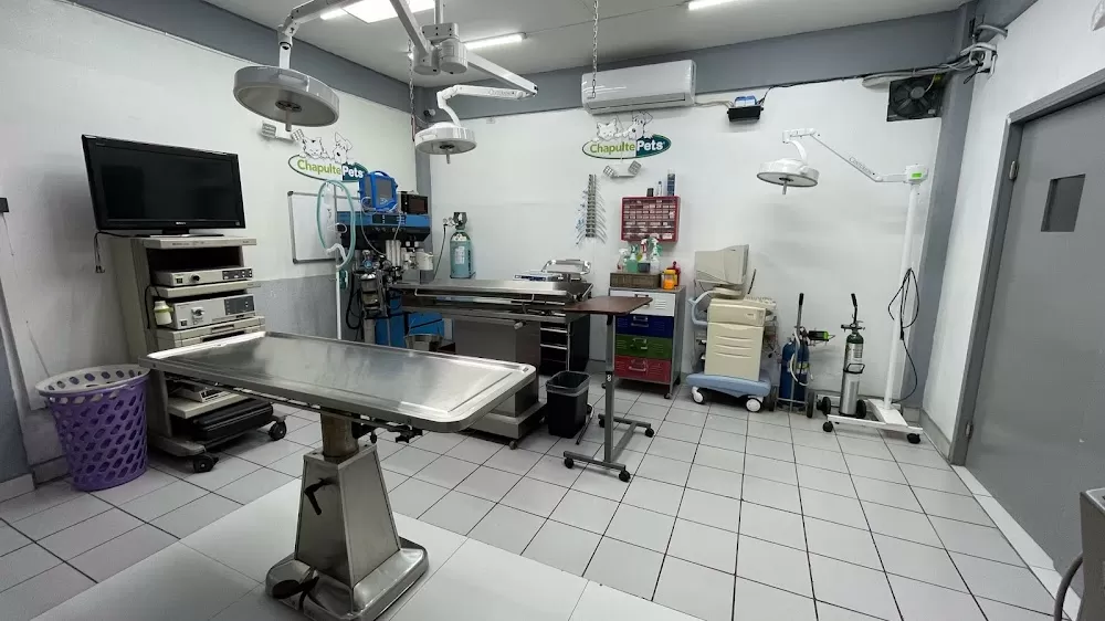 Hospital Veterinario Chapultepets Tijuana - Photo 8