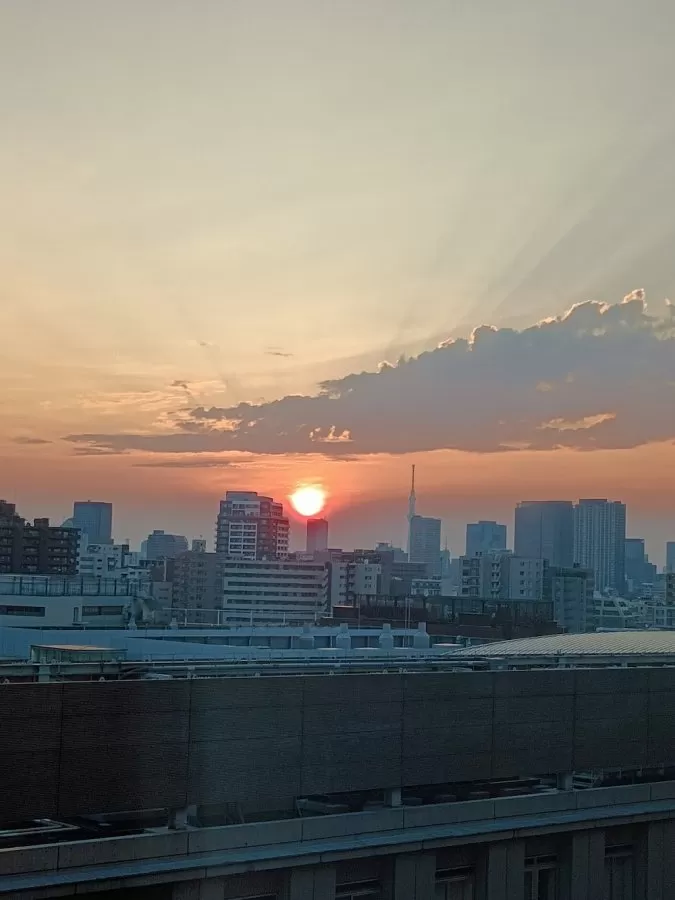 東京女子医科大学病院中央病棟 - Photo 8