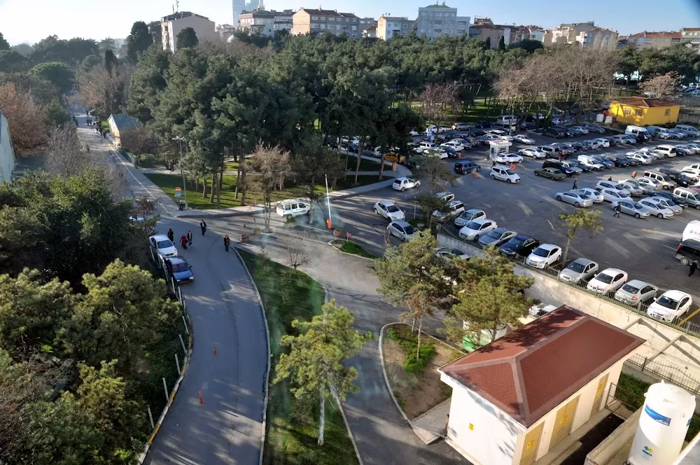 Yedikule Göğüs Hastalıkları ve Göğüs Cerrahisi Eğitim ve Araştırma Hastanesi - Photo 4