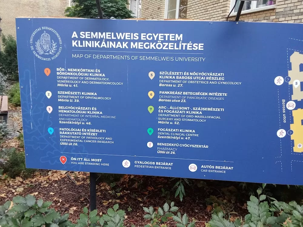 Eye Clinic (Semmelweis University) - Photo 2