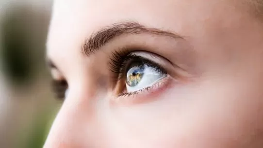 Drs Northex Eye Institute - Photo 8