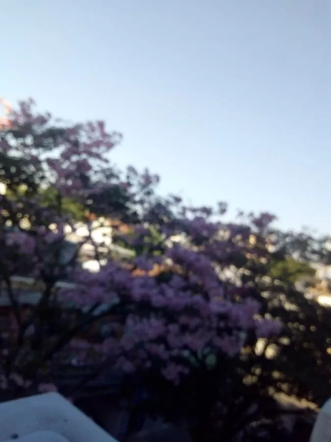 Oncologia D'Or Campo Grande: Oncologia Clínica, Tratamento de Câncer, Oncologistas, Campo Grande, Rio de Janeiro RJ - Photo 7