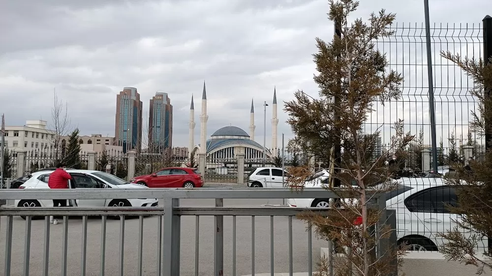 Yüksek Güvenlikli Adli Psikiyatri Hastanesi - Photo 4