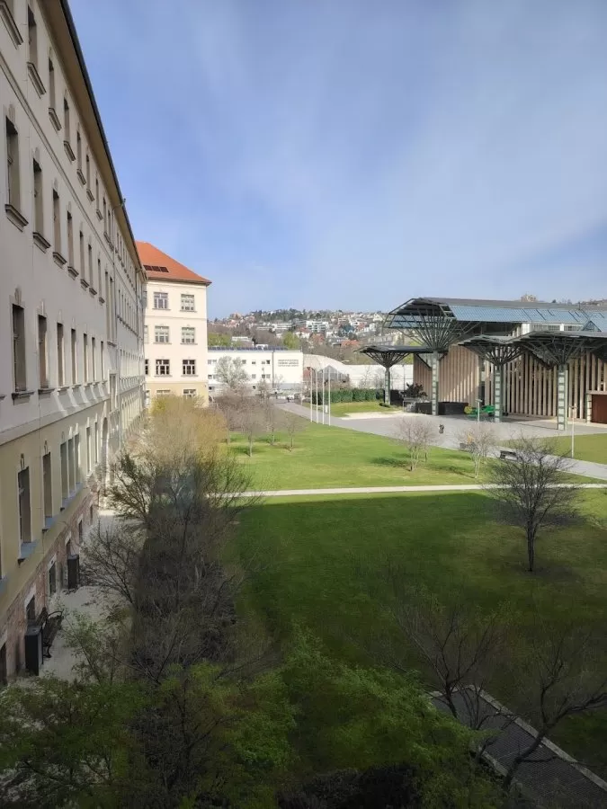 MIND Brain-Gut Center - Photo 3