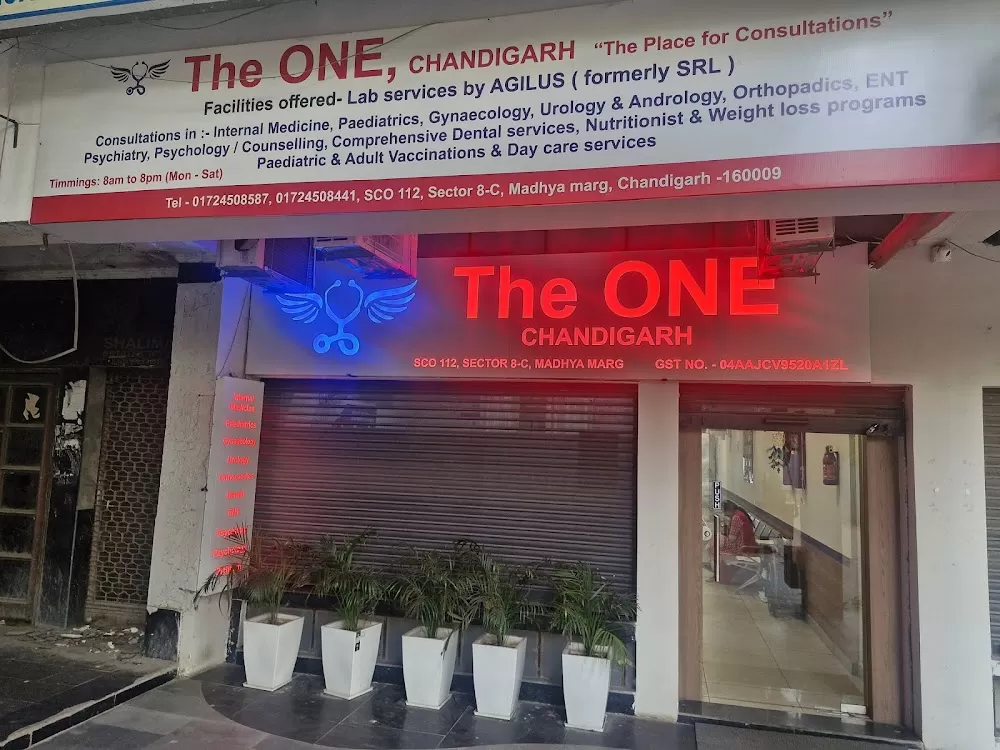 The ONE Chandigarh - Photo 3