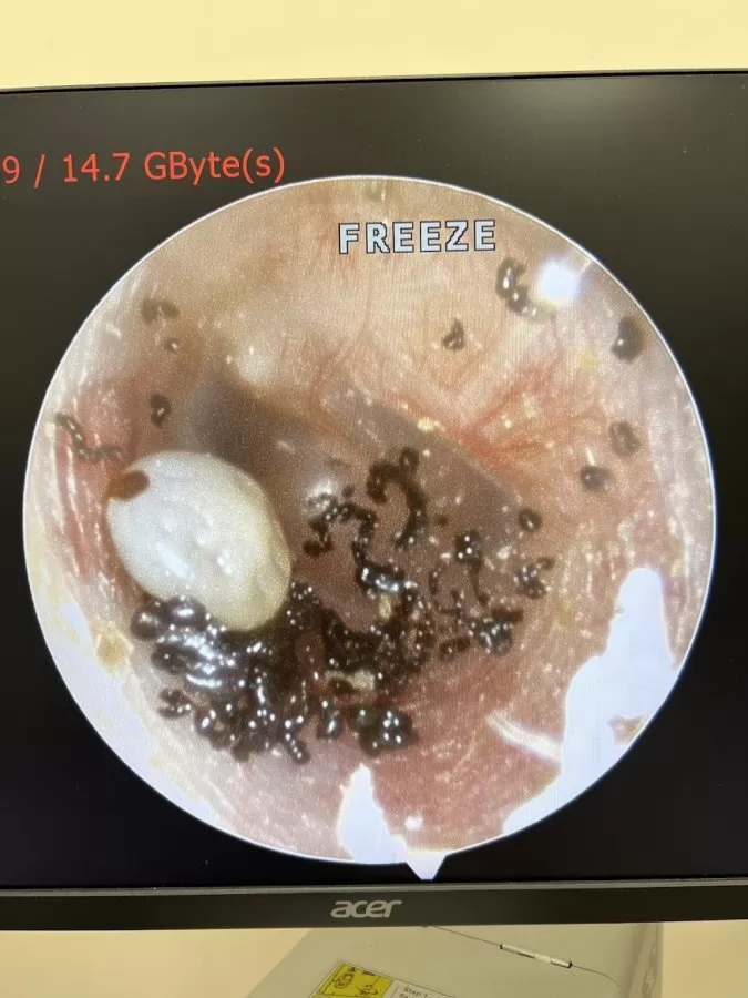 Dr Loh Ear Nose Throat (ENT) Thyroid Head & Neck Surgery Specialist Clinic 罗医生耳鼻喉颈项手术专科诊所 - Photo 1