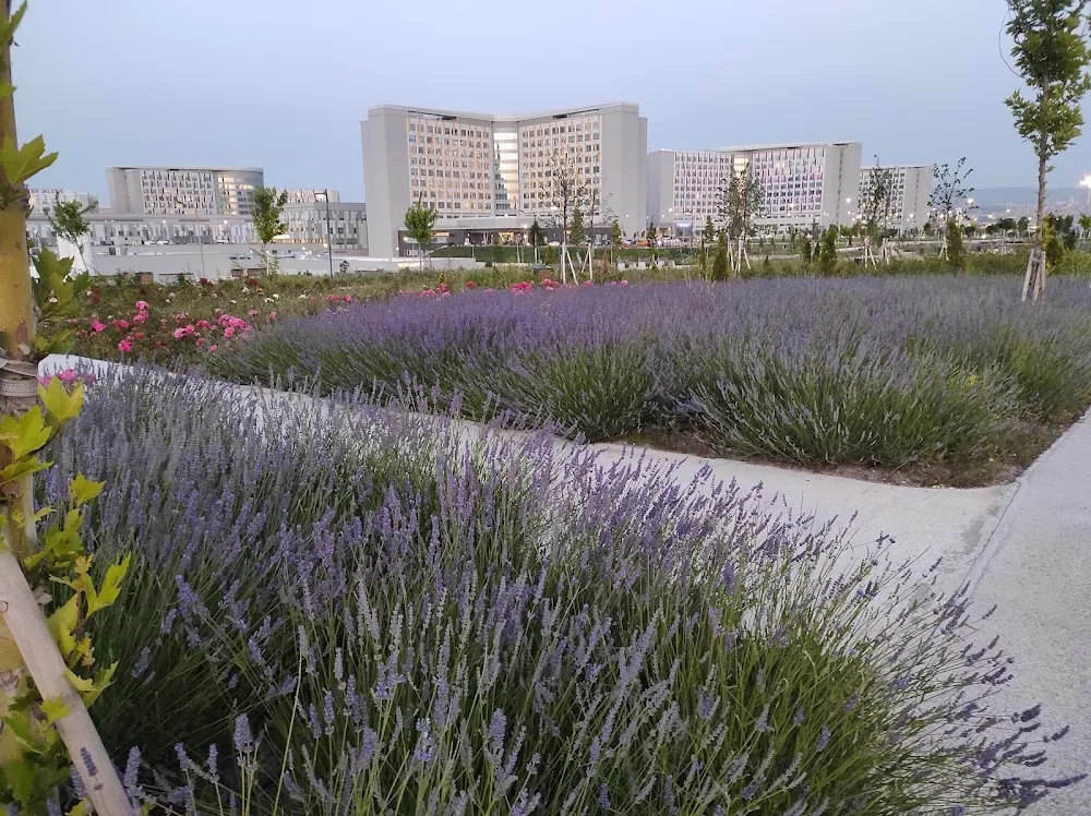 Etlik Şehir Hastanesi Ortopedi ve Nöroloji Hastanesi - Photo 8