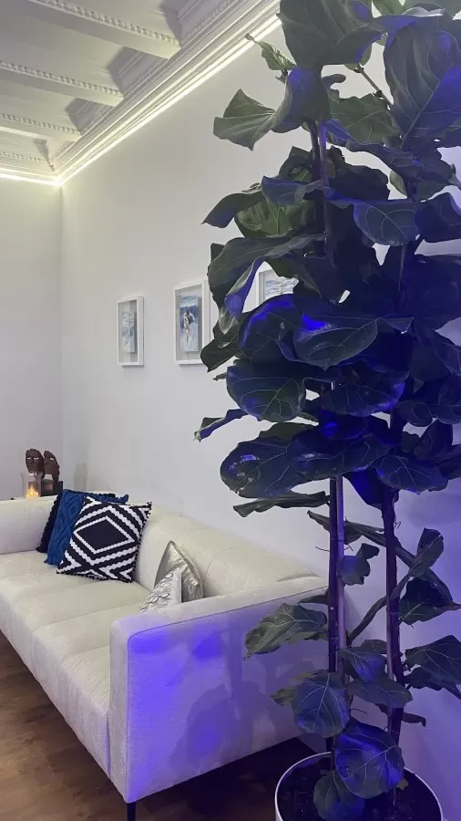 Androclinic - Photo 5