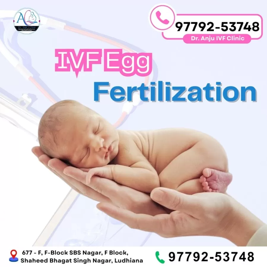 𝐃𝐫. 𝐀𝐧𝐣𝐮 𝐈𝐕𝐅 𝐂𝐥𝐢𝐧𝐢𝐜 I Maternity, Gynae and Infertility Centre in Ludhiana - Photo 2