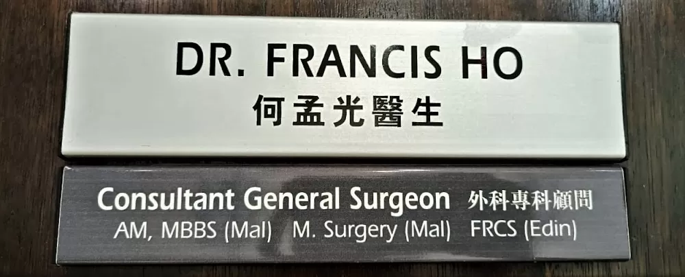 Dr Ho Francis Meng Kuang 何孟光 医生 Gastro 肠胃 - Photo 3