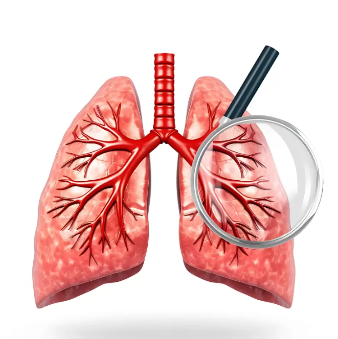 Department of Pulmonology/ Respiratory Medicine Apollo Hospitals Noida - Photo 7