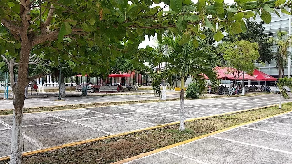 Seguro De La 510 - Photo 2