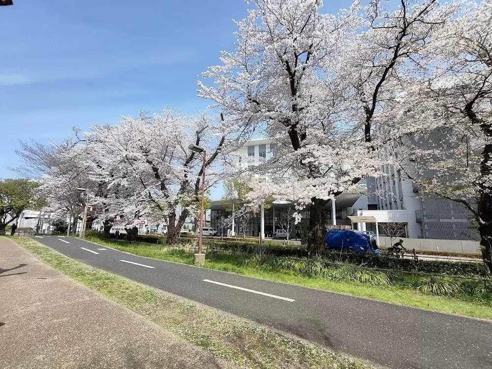 Musashino Tokushukai Hospital - Photo 1