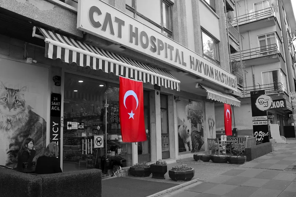 Cat Hospital Kedi Hastanesi - Photo 5