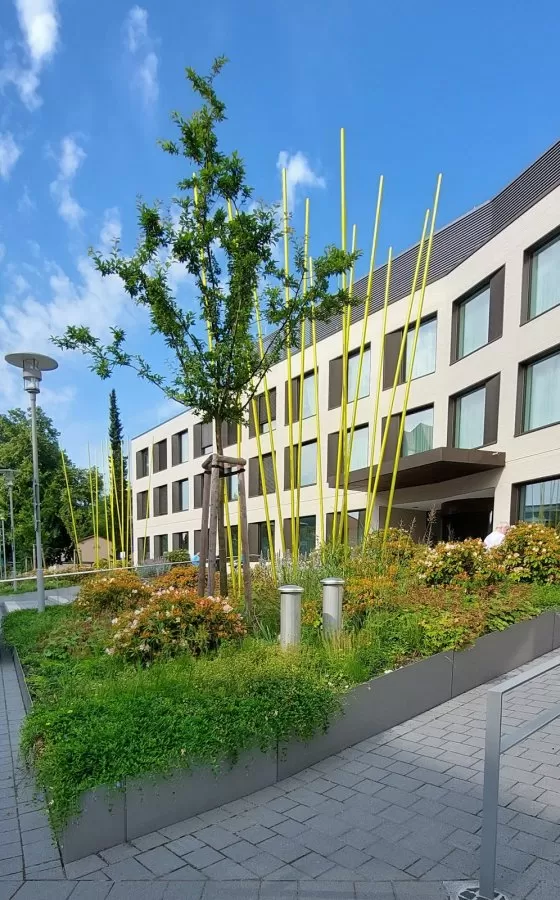 Immanuel Hospital Bernau - Photo 4