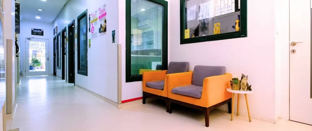 Cat Hospital Kedi Hastanesi - Photo 6
