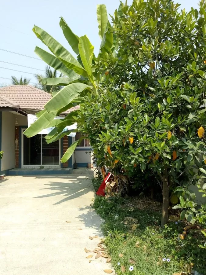 Pichchanichadaw - Photo 3