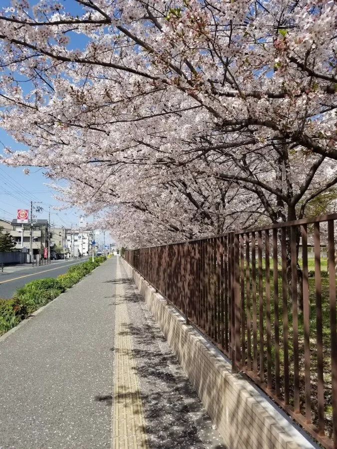 NHO Kinki-Chuo Chest Medical Center - Photo 7