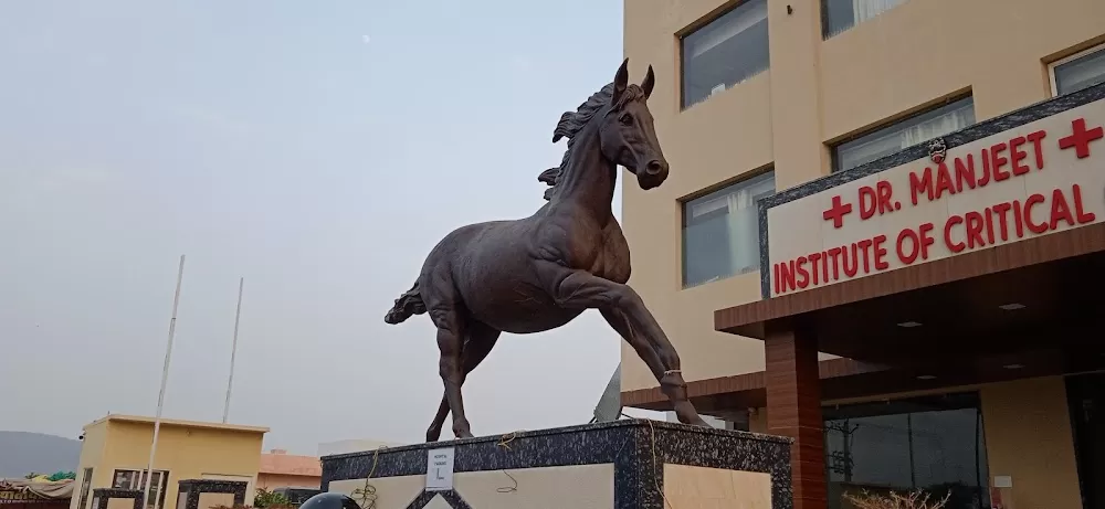 Manjeet Children Hospital ( DMICC ) - Photo 4