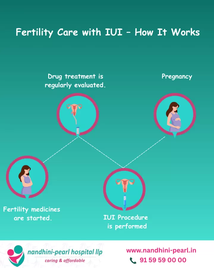 Nandhini Pearl Hospital - Gynecology & Maternity Care -Velachery - Photo 5