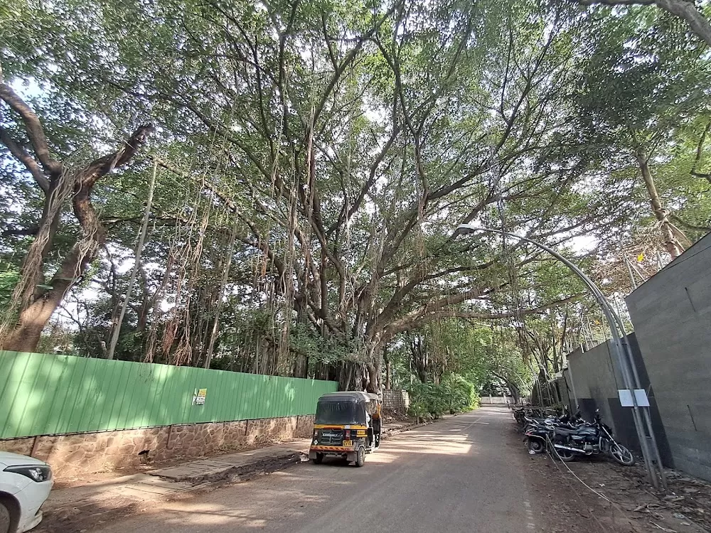 Inlaks and Budhrani Hospital - Photo 4
