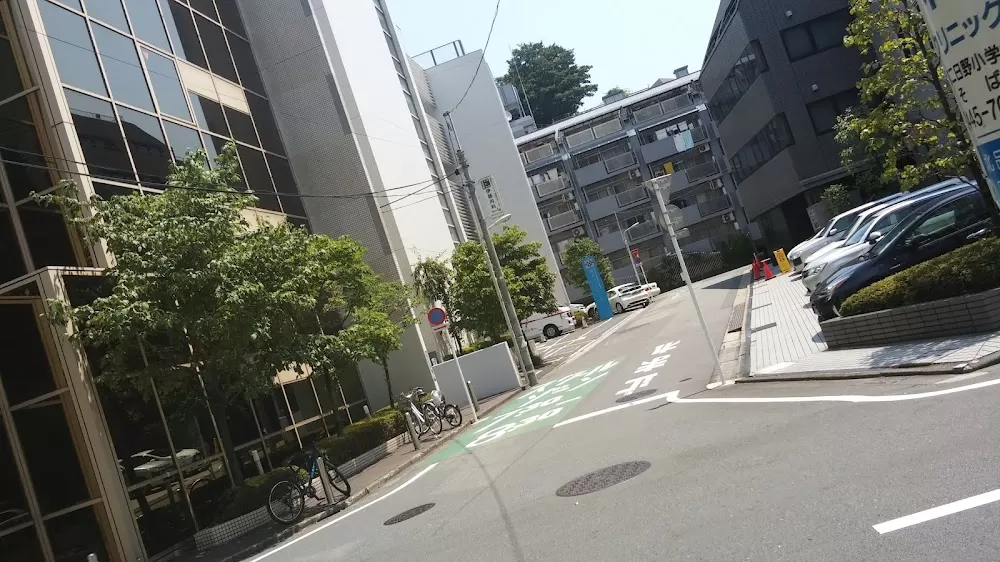 Osaki Hospital Tokyo Heart Center - Photo 6