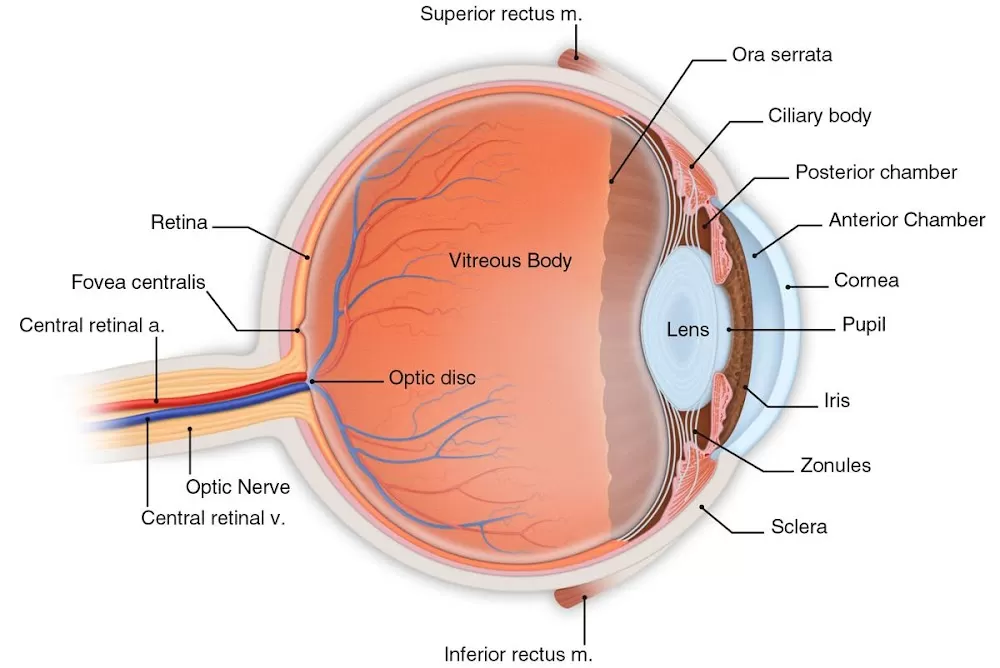 Aggarwal Eye Hospital - Eye Hospital in Andheri East | Eye Check-up, Cataract, Lasik Surgery, Retina, Glaucoma | Eye Doctor - Photo 4