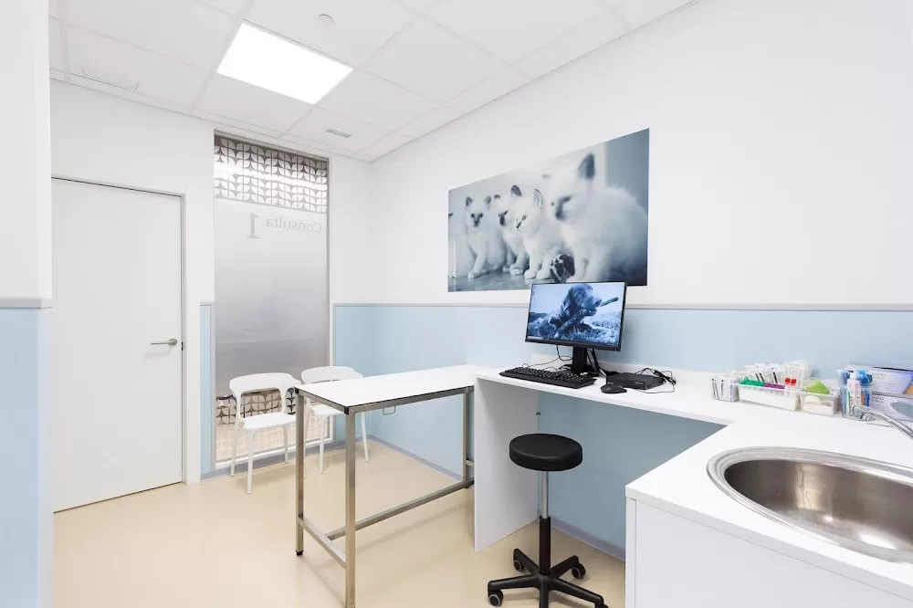 AniCura Glòries Hospital Veterinari - Photo 3