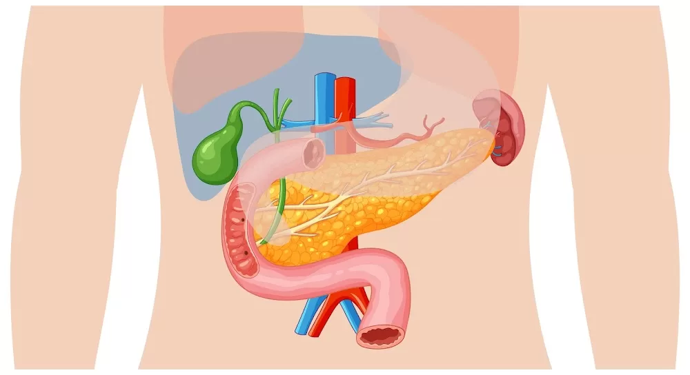 Dr Vijay Kumar H J-Consult With Best Gastroenterologist Doctor Near Me . - Photo 5