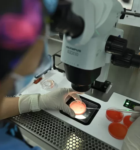 Trust Fertility Clinic - Abu Dhabi - Photo 4