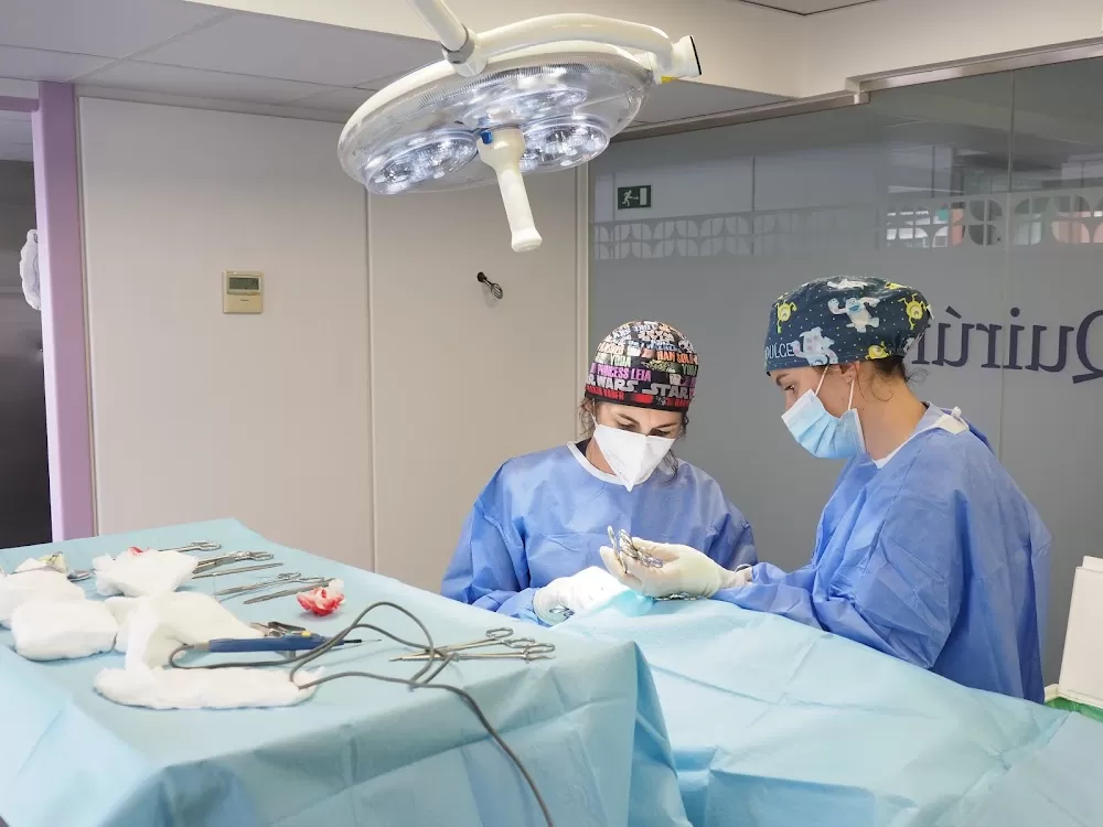 Estoril Veterinary Hospital - Photo 1